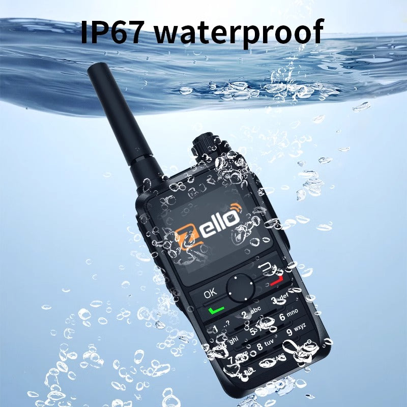 FeiWo Global Walkie-Talkie:Breaking Distance Barriers for Worldwide Voice Communication